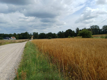 Działki budowlane w Żukowie