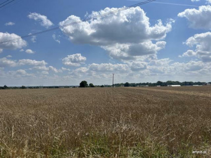 Działka rolno-budowlana Ceranów