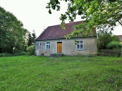 SPRZEDANE - Siedlisko na sprzedaż - 0.9800 ha działka