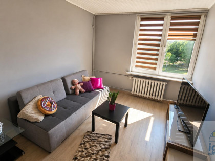 Mieszkanie Kielce Sady ul. Jesionowa