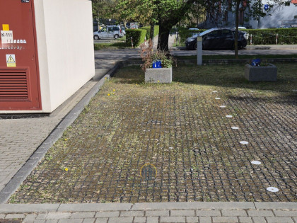 Lokal Lublin ul. Dra Gustawa Dolińskiego