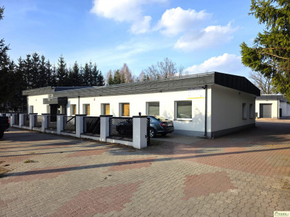 Lokal Łuków ul. Zapowiednik