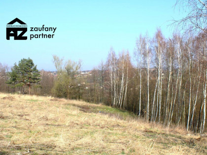 Działka Golkowice