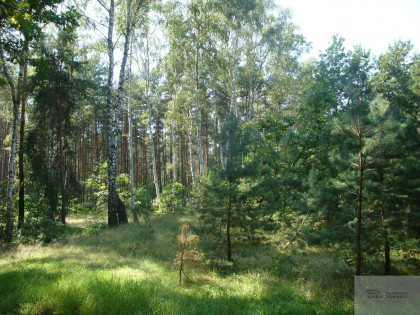 Działka Warszawa Wesoła