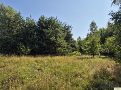 Działka Oleśnica