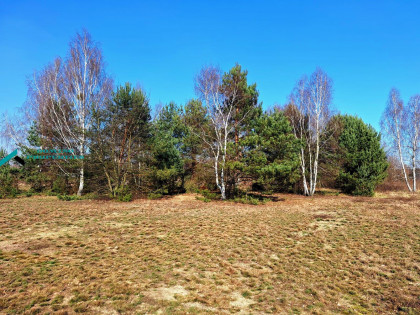 Działka Borzęcin Duży