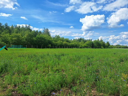 Działka Kamionka