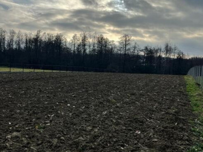 Działka rolno-budowlana (Nowodworze)