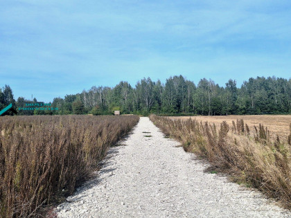 Działka Kamionka