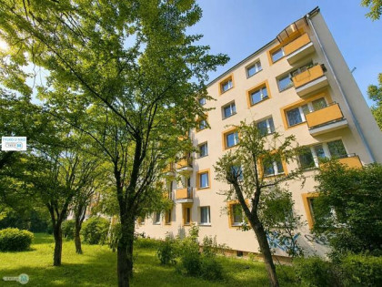 Mieszkanie Kielce Sady
