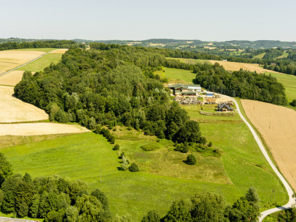 Działki o łącznej powirzchni 4,25 ha Joniny