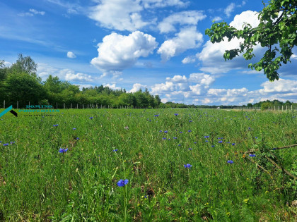 Działka Kamionka