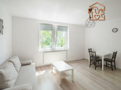 Komfortowa kawalerka pet friendly - Pułaskiego3