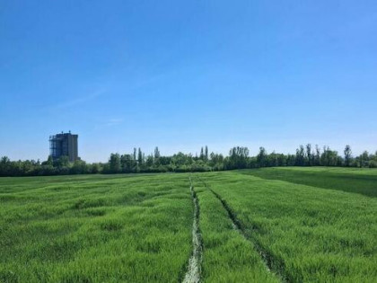 Opole Grudzice 97ar blisko centrum prywatnie