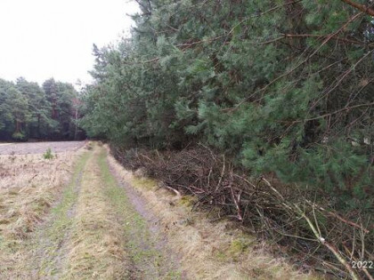 Sprzedam działkę rolną w sąsiedztwie lasów