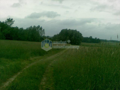 Działka Nowe Radzikowo