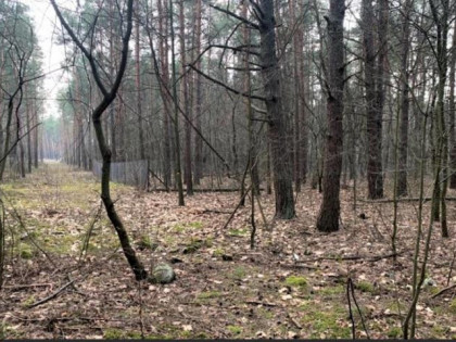 Działka Warszawa Wawer, Miedzeszyn