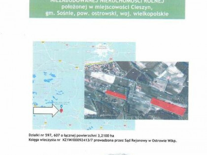 Syndyk sprzeda Nieruchomość rolną w Cieszynie
