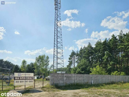 Oferta dla inwestora lub przedsiębiorcy - BEZ PROWIZJI !!!