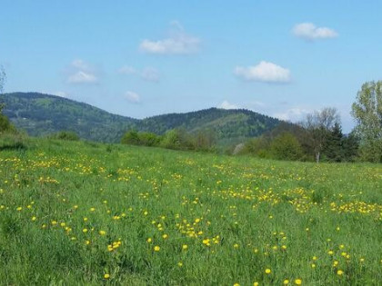 Słoneczna, wszystkomająca i widokowa dz. bud; 930 m2
