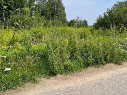 Na sprzedaż działka budowlana – 2261 m², Radzymin.