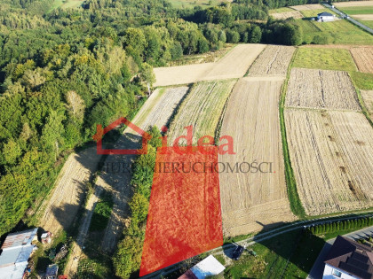 Działka Malinówka
