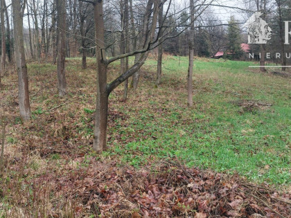 Kunkowa działka budowlana 30 a 1146S