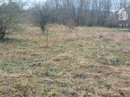 Kunkowa działka budowlana 8,12 a 1145S