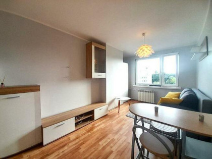 Czapliniecka 44E, Bełchatów, słoneczne studio
