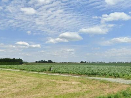 Działka budowlana Milejowice gm. Żórawina