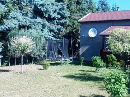 Działka ROD całoroczna w Poznaniu, Grunwald / Łazarz