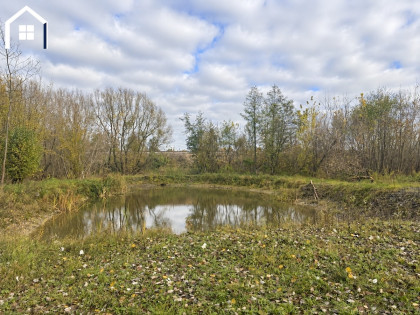 Działka 4219 m² | Własny staw | Media | 320 000 zł