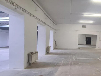 Lokal Warszawa Targówek, Zacisze