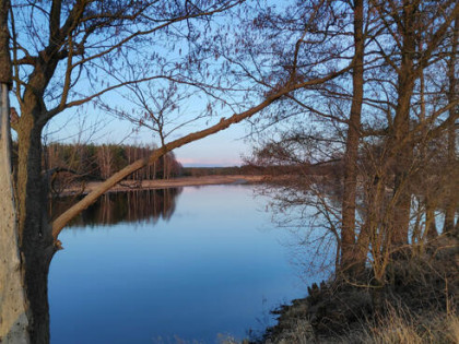 Działka rekreacyjna Młynarze, Młynarska