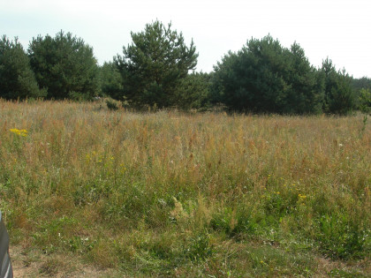 Działka Wronczyn ul. Pieczarkowa