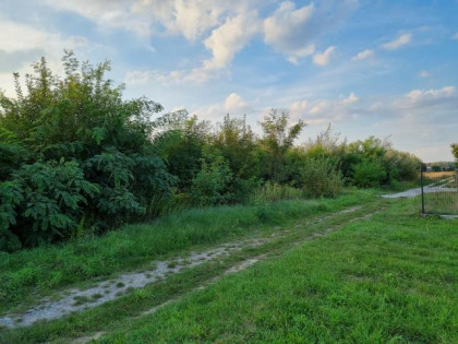 Działka Zaborówek