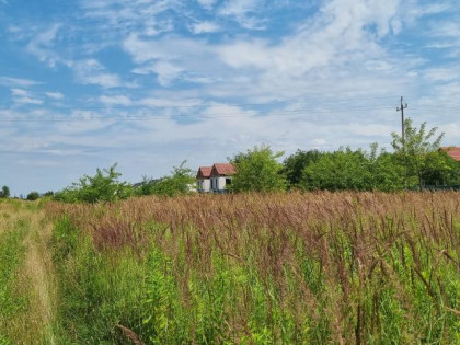 Działka Michałowice-Wieś