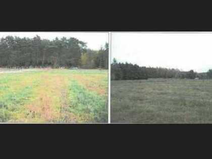Działka, 4 999 m², Słonów