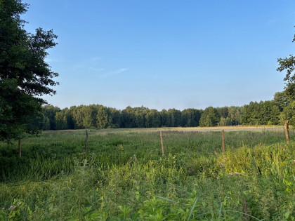 Działka rolna 9 846 m² przy lesie | Tanowo