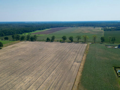 Działka budowlana Kały gm. Murów, Brzozowa