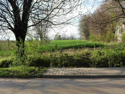 Działka budowlana 40 ar z WZ + rentowny budynek Hulcze