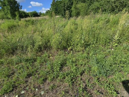 Działka Sosnowiec Zagórze