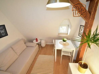 Śląska 4, Okole, przyjazne zwierzętom studio