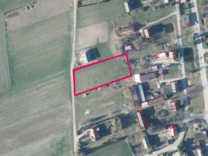 Piękna duża działka- Filice gm.Działdowo
