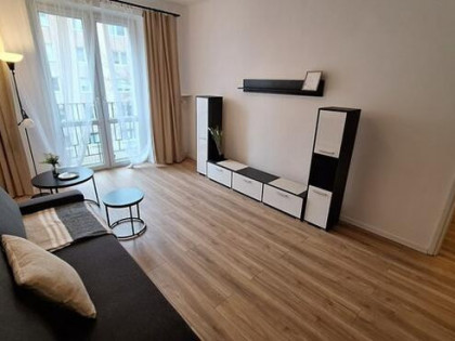 Kawalerka z balkonem pet friendly, Drukarska 18/22