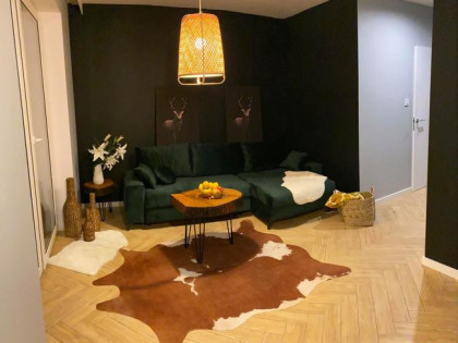 BEZ POŚREDNIKÓW - KATOWICE-BOGUCICE- mieszkanie LUX