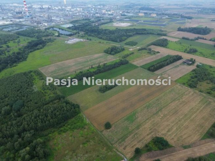Działka przemysłowa Płock Trzepowo
