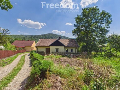 13 sierpnia zapraszam na Dzień Otwarty!