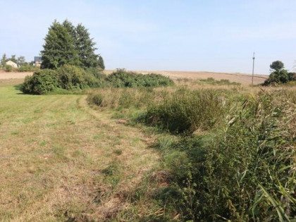 Działka nad rzeką MOGIELNICĄ 13 arów pod Łęczną. PILNE