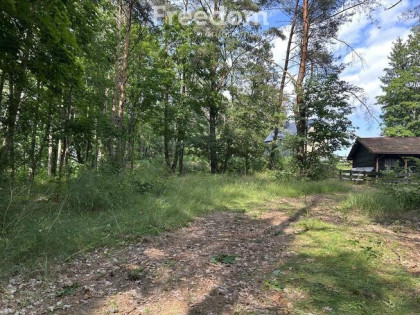 Dziaka w lesie nad jeziorem - Tuczno